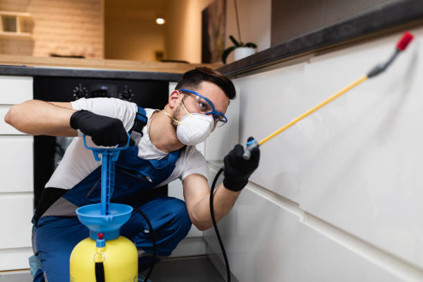 Best Rat Extermination Near Me  in Abbeville, AL