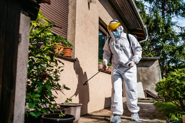 Best Pest Prevention Services  in Abbeville, AL