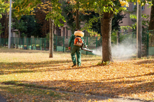 Best Wildlife Control Services  in Abbeville, AL