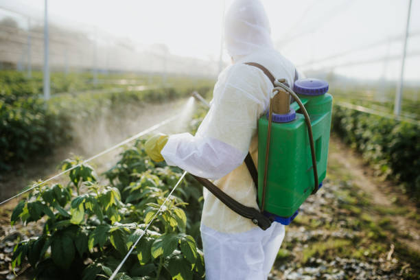 Best Pest Removal Services  in Abbeville, AL